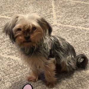 Meet your Posher, Marine